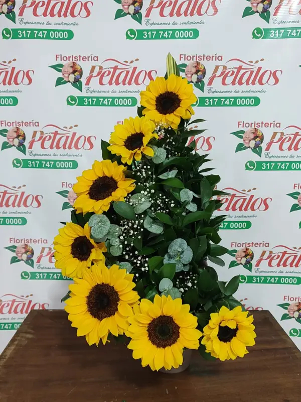 Pétalos 062